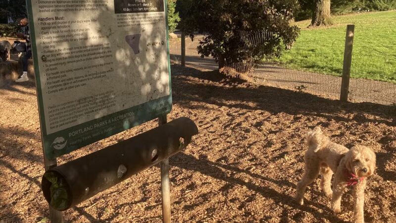 Wallace Dog Park - Portland, OR