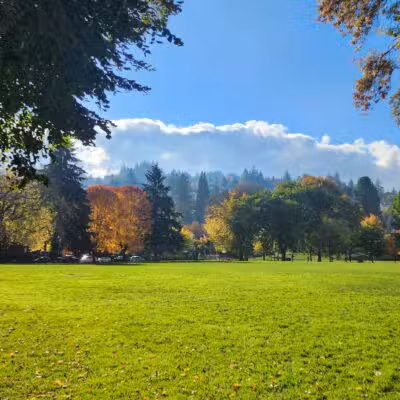Wallace Dog Park - Portland, OR