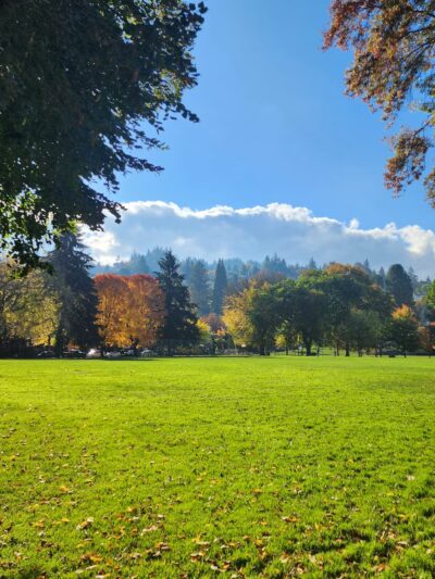 Wallace Dog Park - Portland, OR