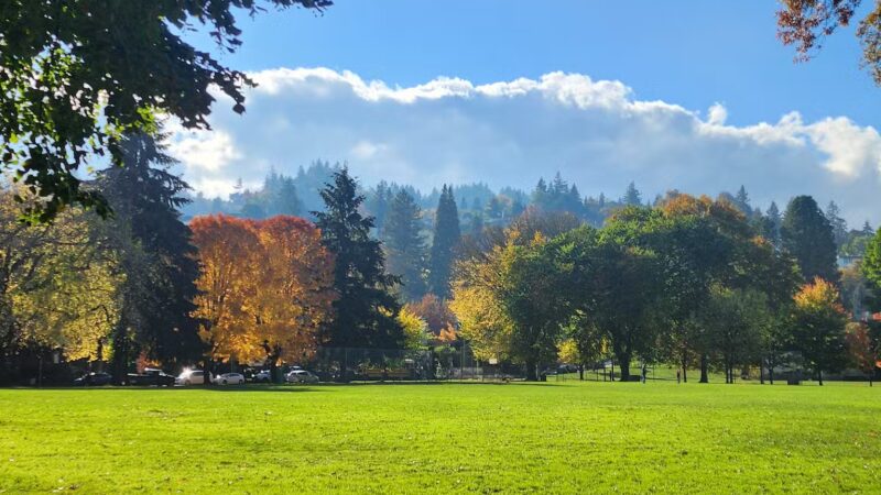 Wallace Dog Park - Portland, OR