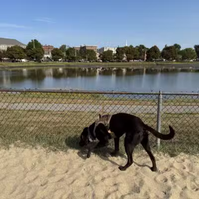 Portsmouth Dog Park - Portsmouth, NH