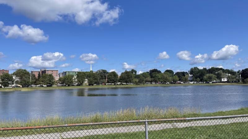 Portsmouth Dog Park - Portsmouth, NH