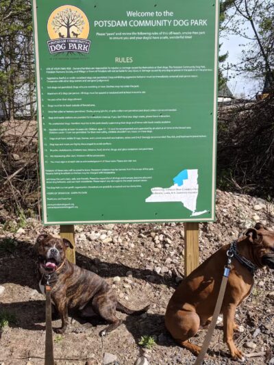 Potsdam Community Dog Park - Potsdam, NY