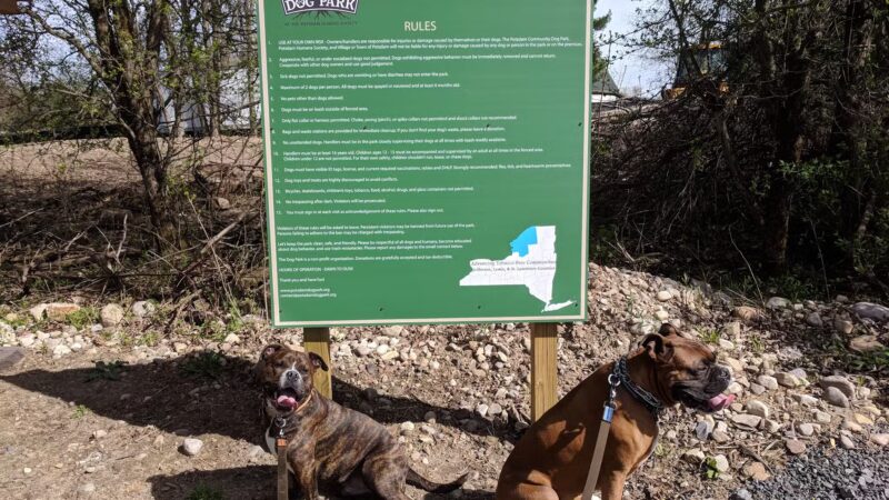 Potsdam Community Dog Park - Potsdam, NY