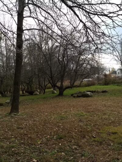 Potsdam Community Dog Park - Potsdam, NY