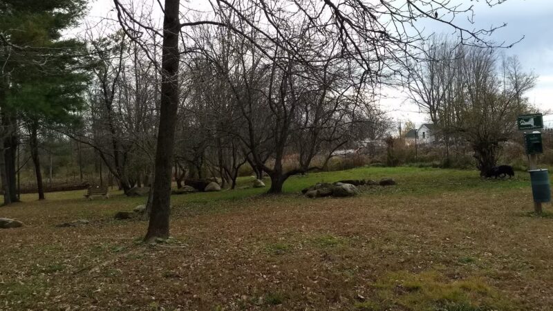 Potsdam Community Dog Park - Potsdam, NY