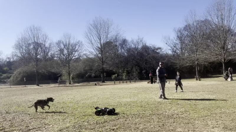 Cooter's Pond Dog Park - Prattville, AL