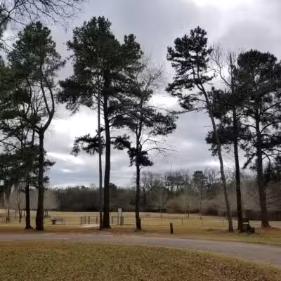 Cooter's Pond Dog Park - Prattville, AL
