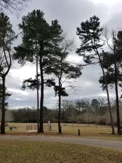 Cooter's Pond Dog Park - Prattville, AL