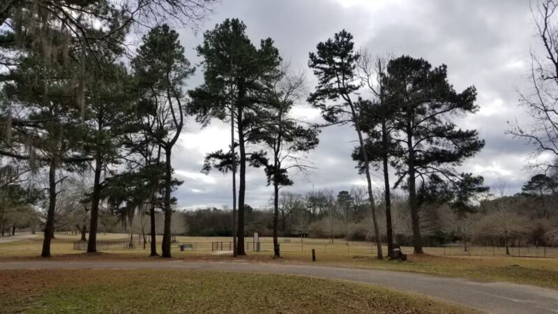 Cooter's Pond Dog Park - Prattville, AL