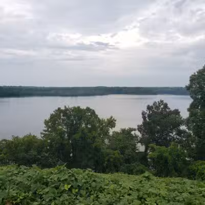 Cooter's Pond Dog Park - Prattville, AL