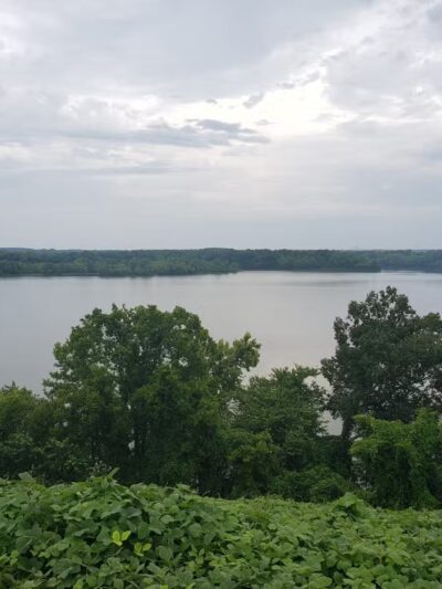 Cooter's Pond Dog Park - Prattville, AL