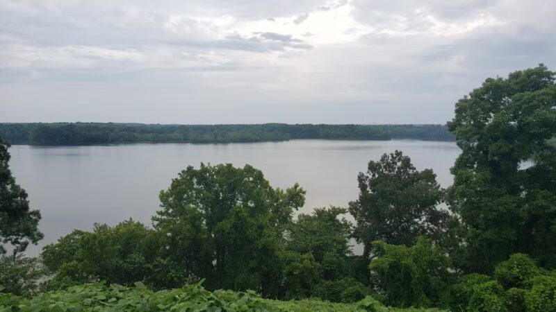 Cooter's Pond Dog Park - Prattville, AL