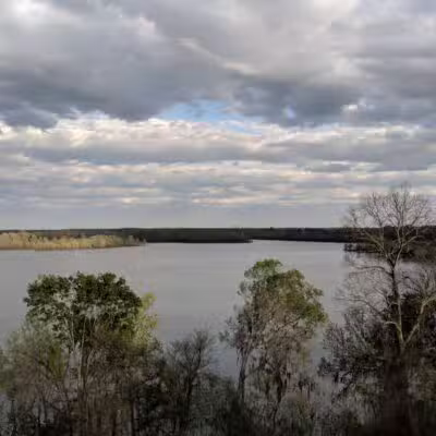 Cooter's Pond Dog Park - Prattville, AL