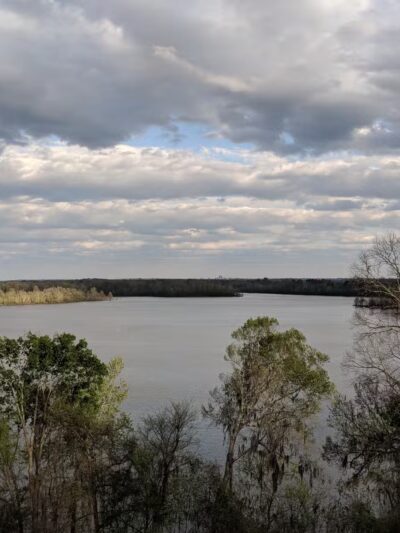Cooter's Pond Dog Park - Prattville, AL