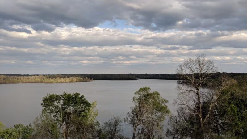 Cooter's Pond Dog Park - Prattville, AL