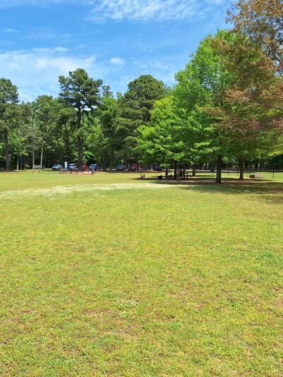 Cooter's Pond Dog Park - Prattville, AL