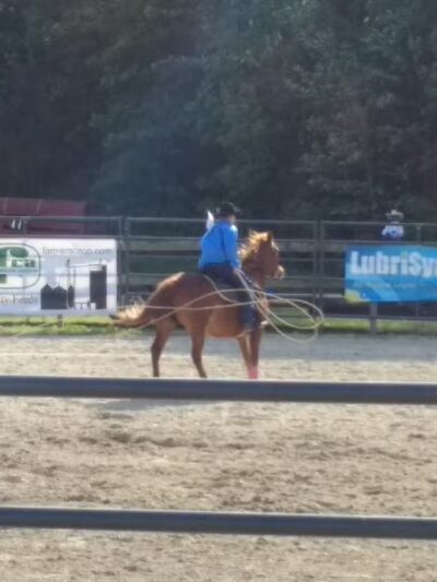 Somerset County Civic Center - Princess Anne, MD