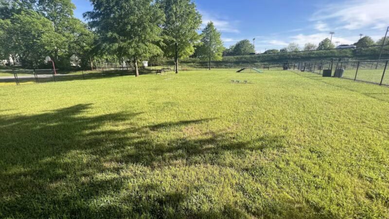 Pleasant Run Dog Park - Pulaski, TN