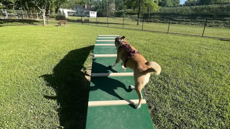Pleasant Run Dog Park - Pulaski, TN