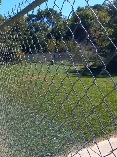 Sparky's Run Dog Park - Radford, VA