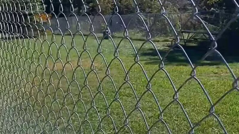 Sparky's Run Dog Park - Radford, VA