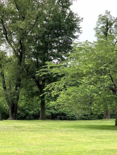 Wheatena Park - Rahway, NJ