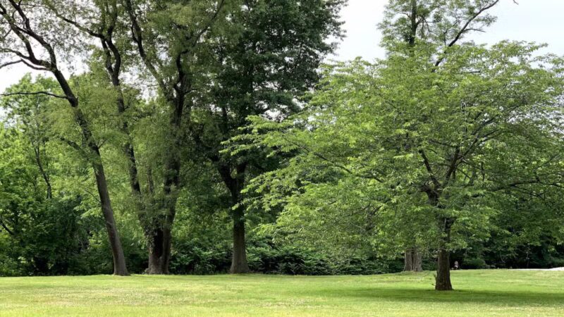 Wheatena Park - Rahway, NJ