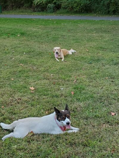 Wheatena Park - Rahway, NJ