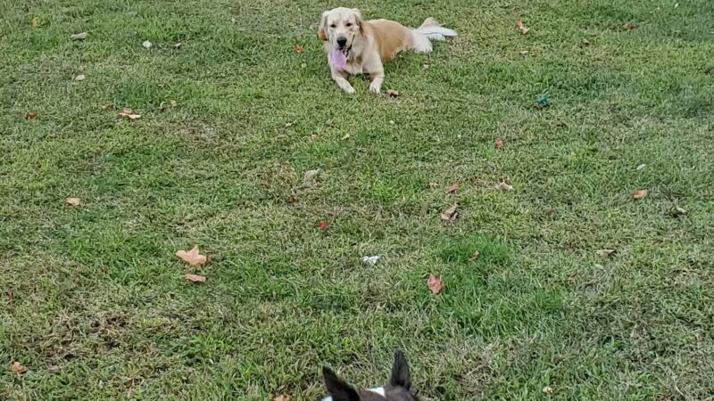 Wheatena Park - Rahway, NJ