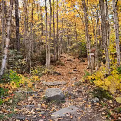 Appalachian Trail Piazza Rock Trail Head at Main St, ME Rt 4 - Rangeley, ME