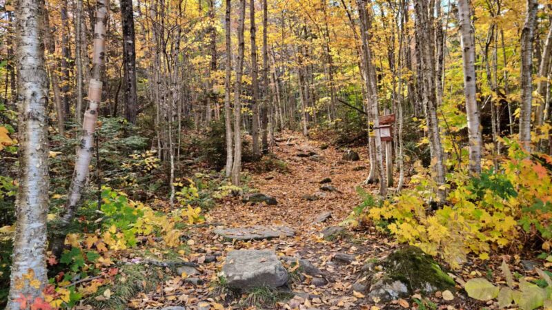 Appalachian Trail Piazza Rock Trail Head at Main St, ME Rt 4 - Rangeley, ME