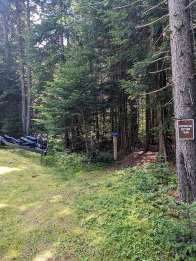 Cupsuptic Lake Trail - Rangeley, ME