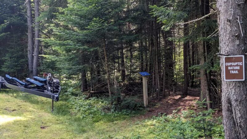 Cupsuptic Lake Trail - Rangeley, ME