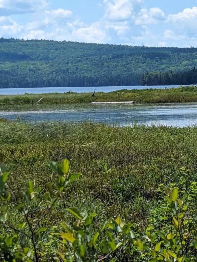 Cupsuptic Lake Trail - Rangeley, ME