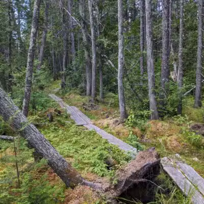 Cupsuptic Lake Trail - Rangeley, ME