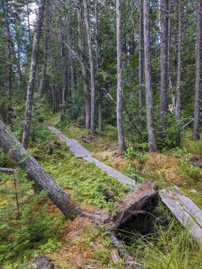 Cupsuptic Lake Trail - Rangeley, ME