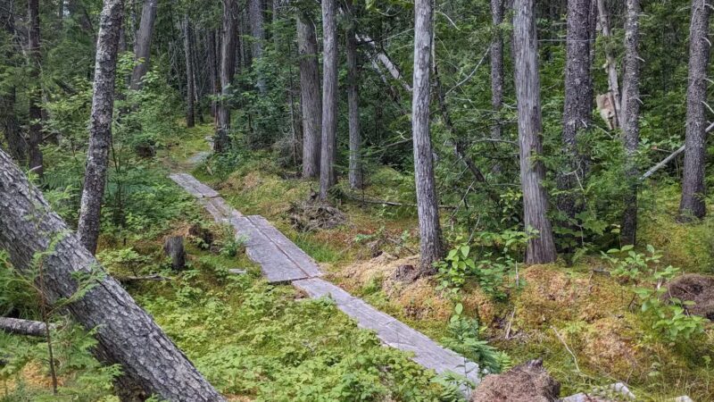 Cupsuptic Lake Trail - Rangeley, ME