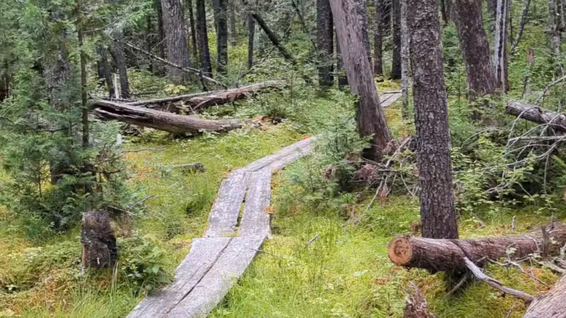 Cupsuptic Lake Trail - Rangeley, ME