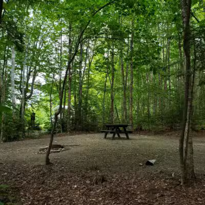 Rangeley Lake State Park - Rangeley, ME