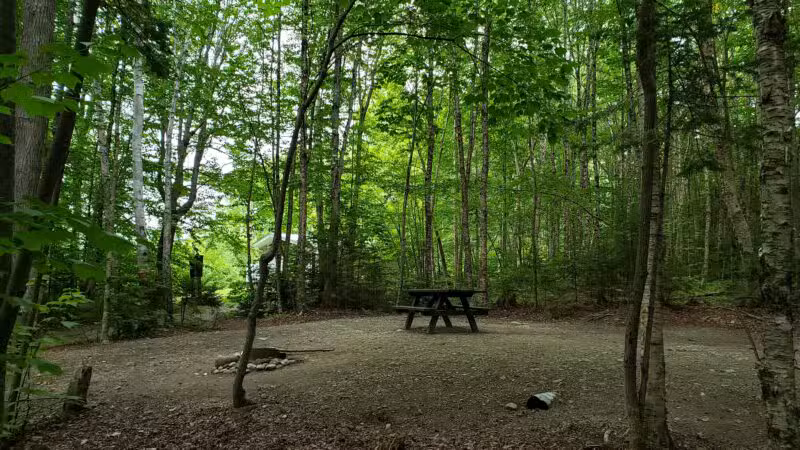 Rangeley Lake State Park - Rangeley, ME