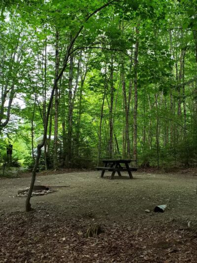 Rangeley Lake State Park - Rangeley, ME