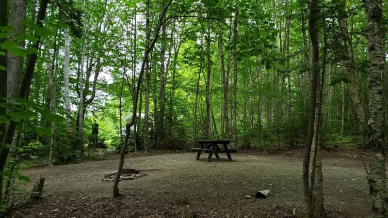 Rangeley Lake State Park - Rangeley, ME