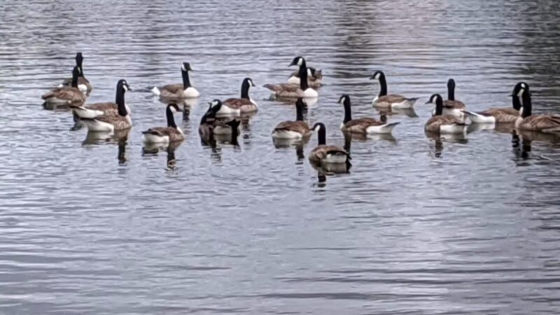 Rangeley Lake State Park - Rangeley, ME