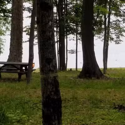 Rangeley Lake State Park - Rangeley, ME