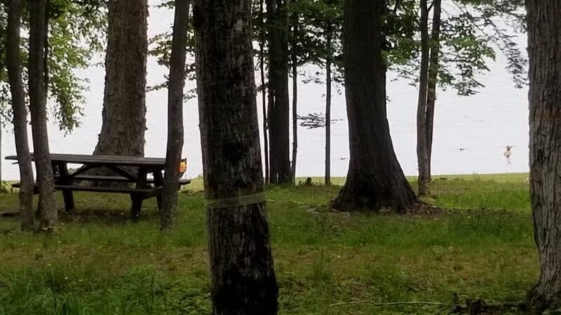 Rangeley Lake State Park - Rangeley, ME