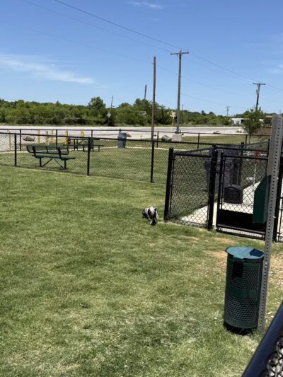 Dog Park at Love's Travel Stops - Ranger, TX