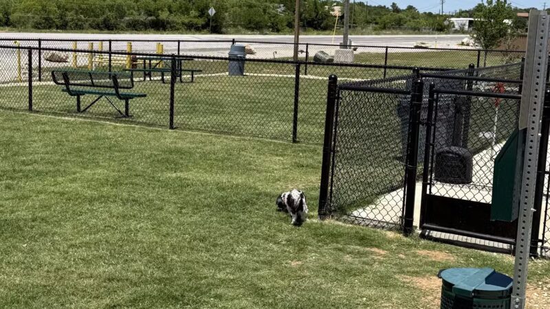Dog Park at Love's Travel Stops - Ranger, TX