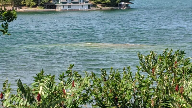Kring Point State Park - Redwood, NY