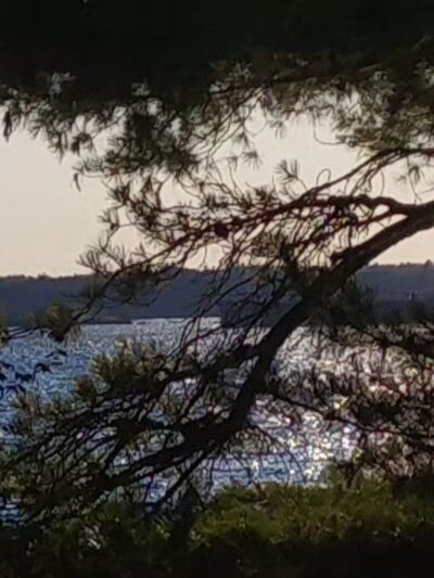 Kring Point State Park - Redwood, NY